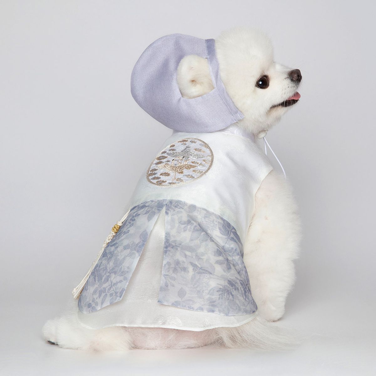 메종드독(MAISON DE DOG) 해솔쾌자 케이프세트 강아지한복
