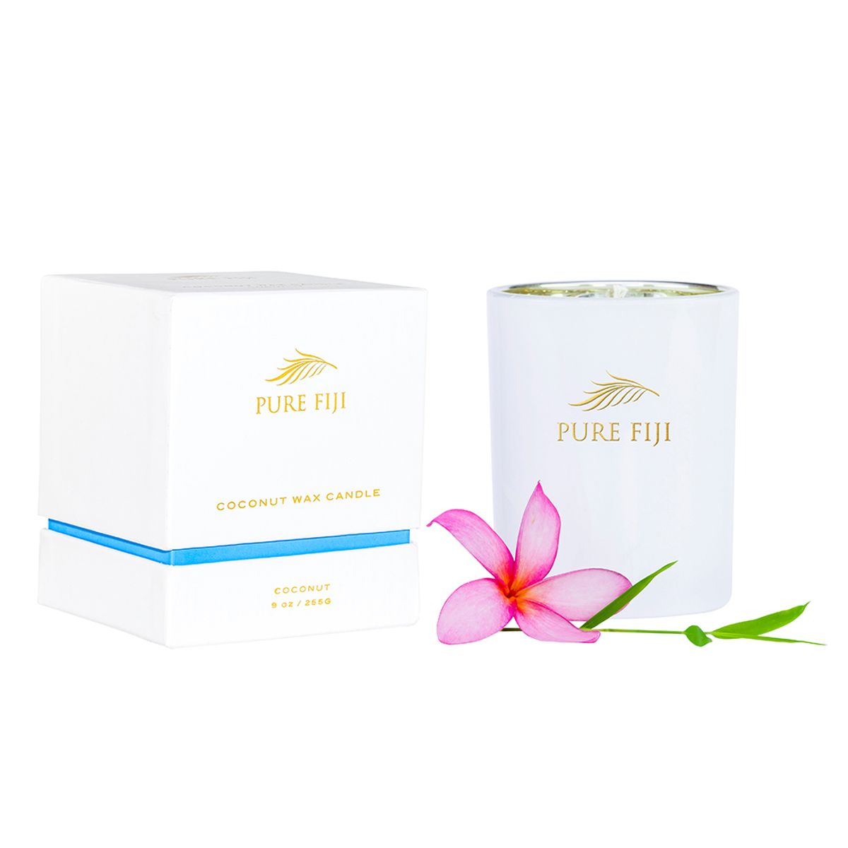 퓨어피지(PUREFIJI) 코코넛 왁스 캔들 9oz/255g 코코넛