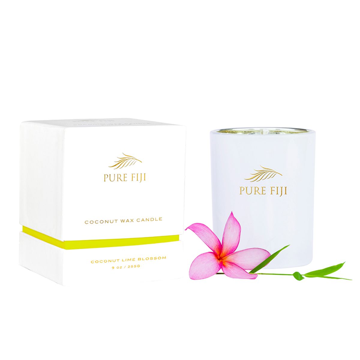 퓨어피지(PUREFIJI) 코코넛 왁스 캔들 9oz/255g 라임블러썸