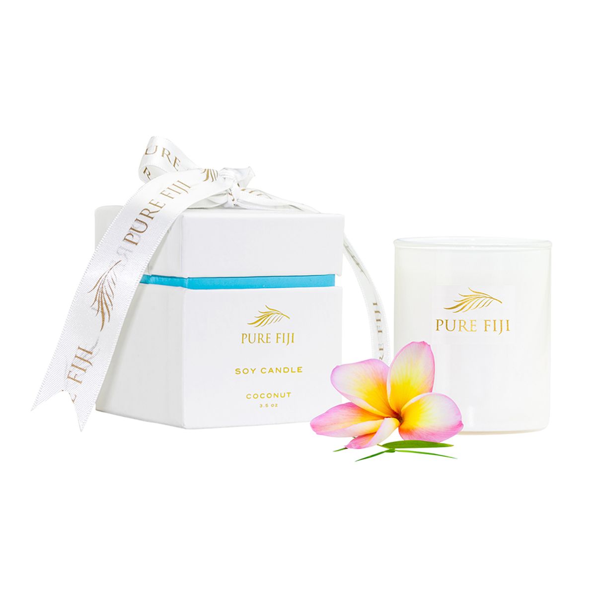 퓨어피지(PUREFIJI) 코코넛 왁스 캔들 3.5oz/85g 코코넛