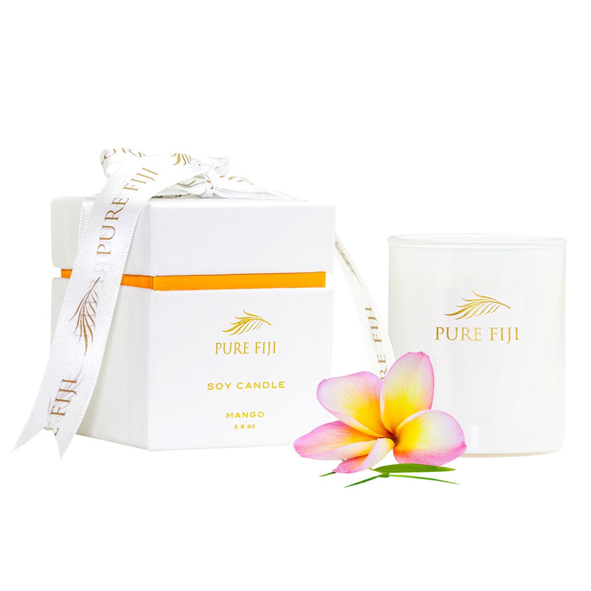 퓨어피지(PUREFIJI) 코코넛 왁스 캔들 3.5oz/85g 망고