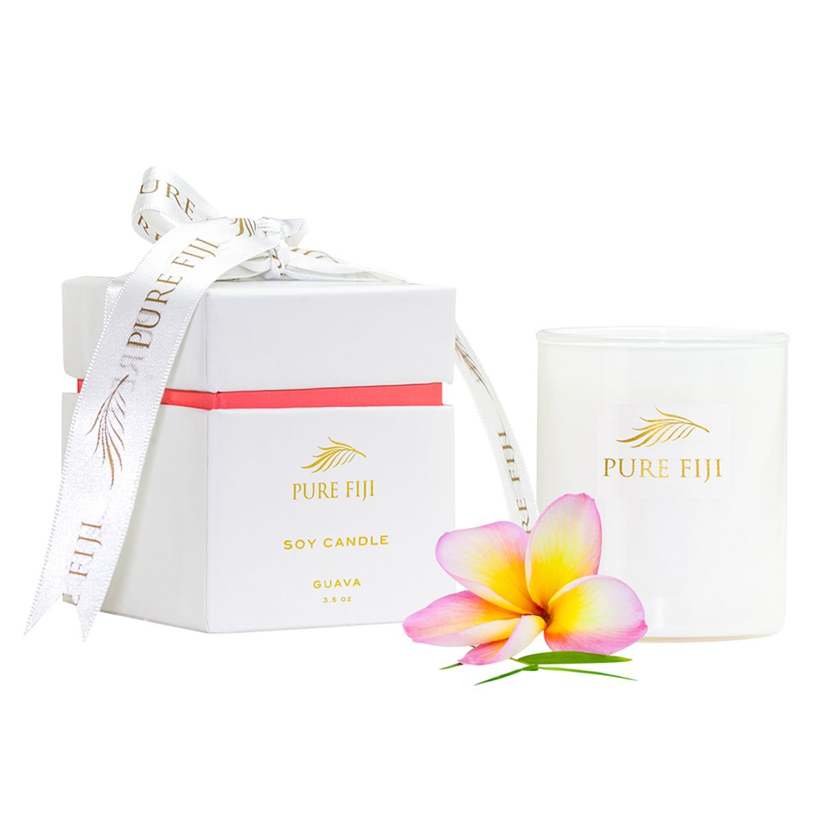 퓨어피지(PUREFIJI) 코코넛 왁스 캔들 3.5oz/85g 구아바