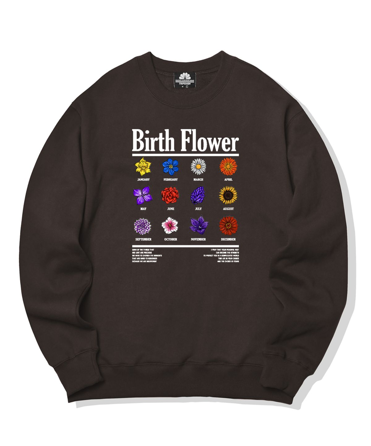트립션(TRIPSHION) BIRTH FLOWER GRAPHIC 크루넥 - 브라운