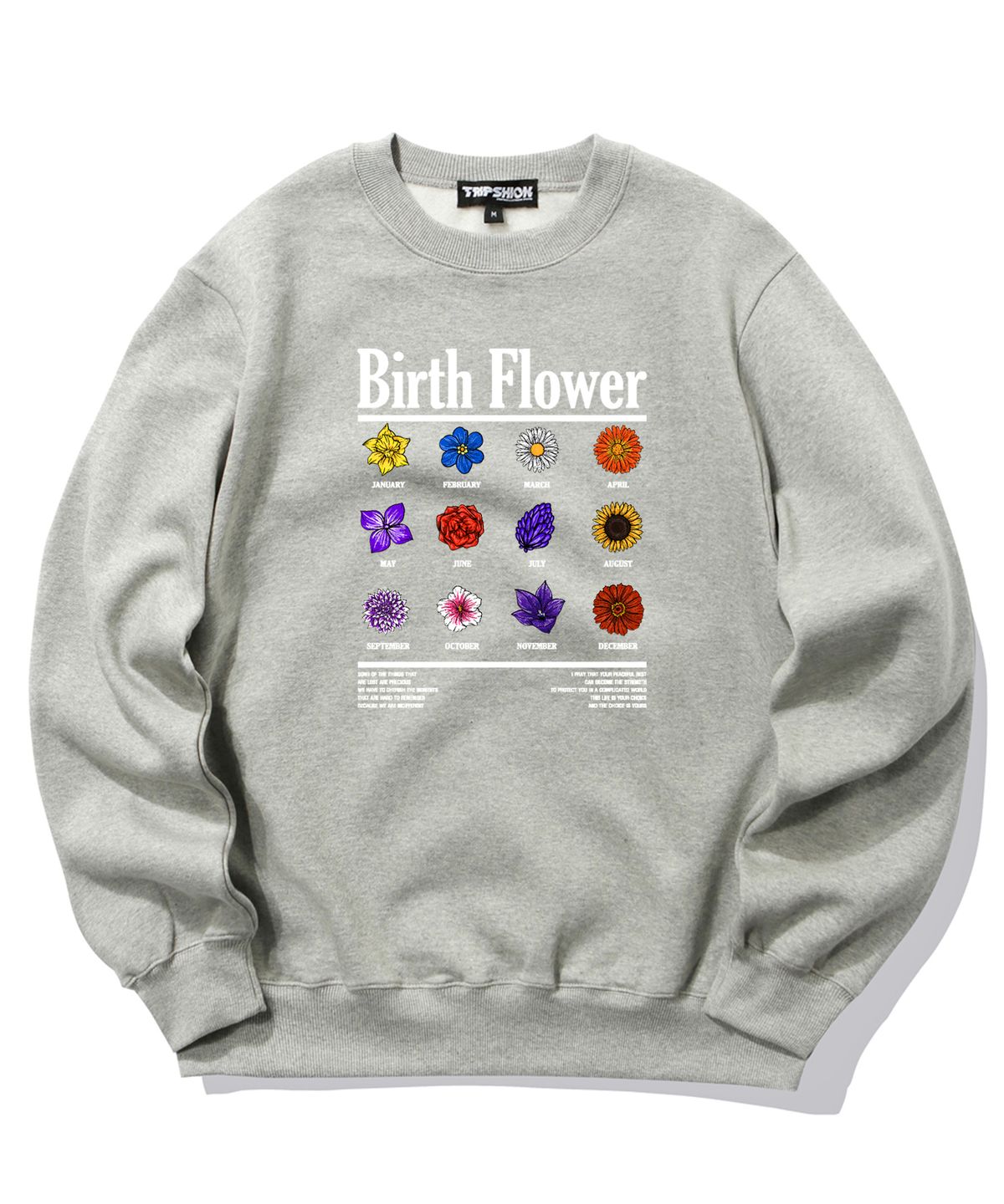 트립션(TRIPSHION) BIRTH FLOWER GRAPHIC 크루넥 - 그레이