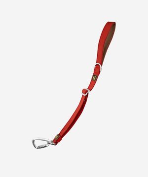 인터라켄 TW55 강아지 숏리드줄