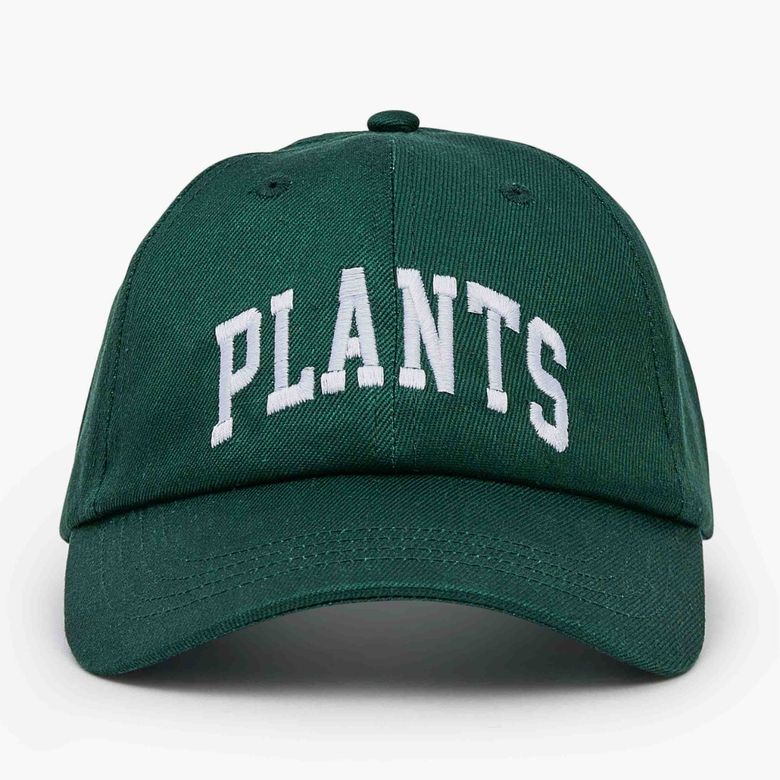 CAP: PLANTS - FOREST