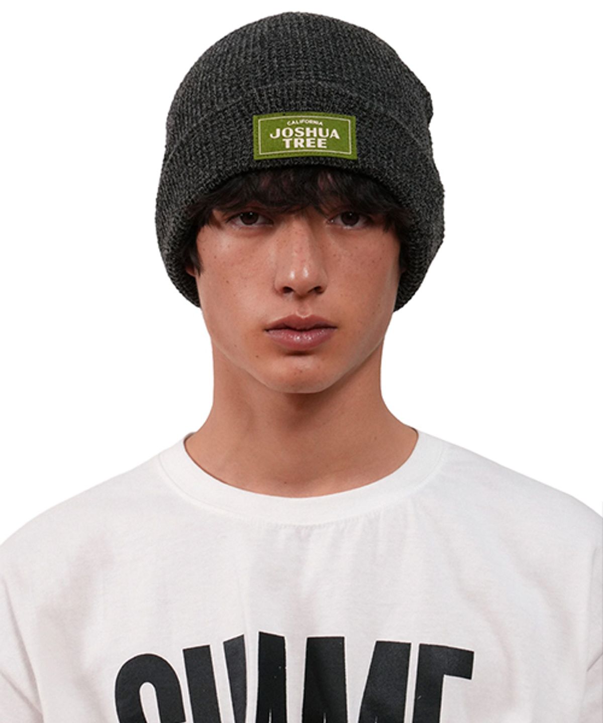 아메리칸니들(AMERICAN NEEDLE) BASIN KNIT BEANIE JOSHUA TREE NP