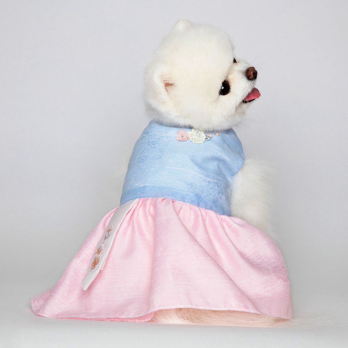 메종드독(MAISON DE DOG) 덕임 케이프세트 강아지한복