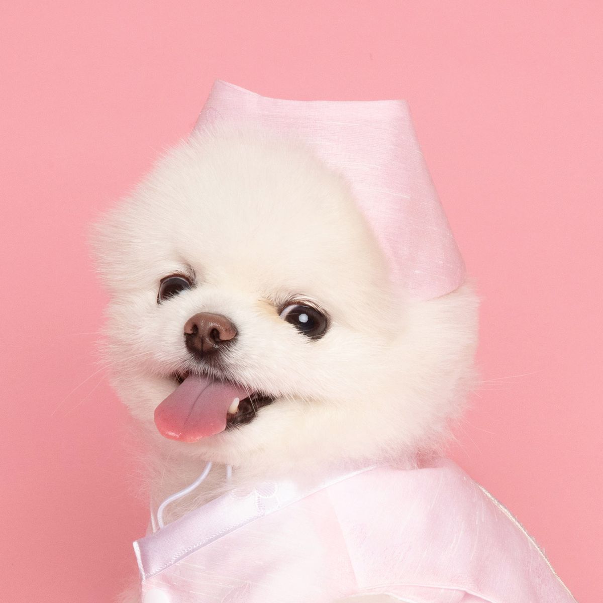 메종드독(MAISON DE DOG) 여아모자 아얌 강아지한복
