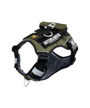 인터라켄 투톤 커스텀 강아지 하네스