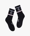 3037845