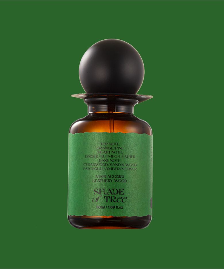 오드퍼퓸 쉐이드 오브 트리 50ml