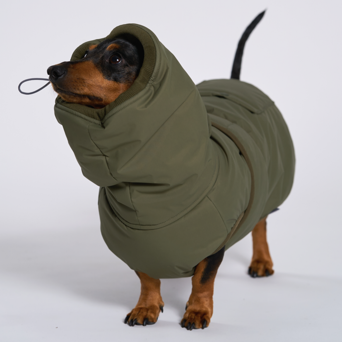 엔젤도그(ANGEL DOG) 개따뜨텍 강아지 패딩 Khaki