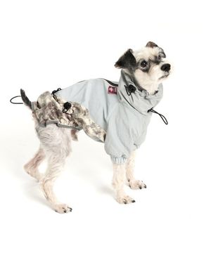 NTP 아노락 강아지 바람막이