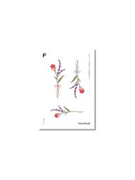 Thumbnail 0