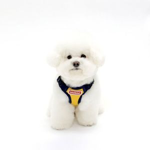 시그니처 로고 메쉬하네스 - 옐로우