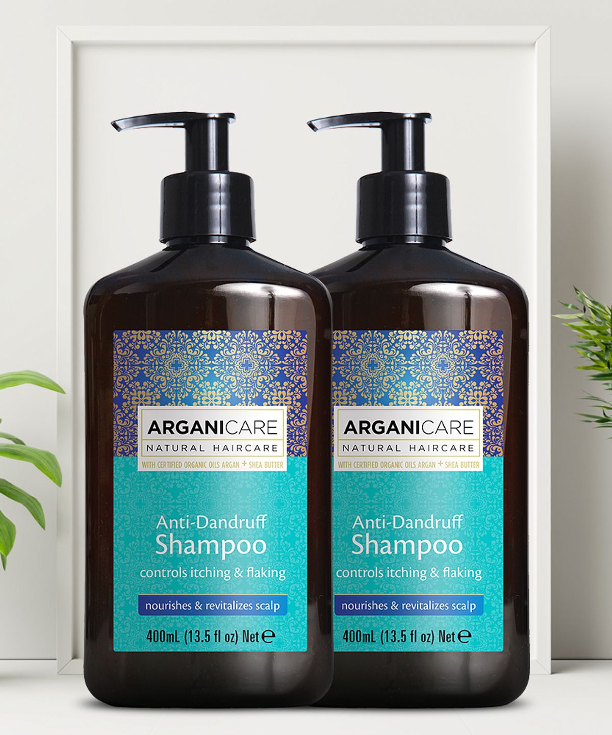 아르가니케어(ARGANICARE) 아르간 오일&시어버터 안티 비듬 방지 샴푸 400ml*2