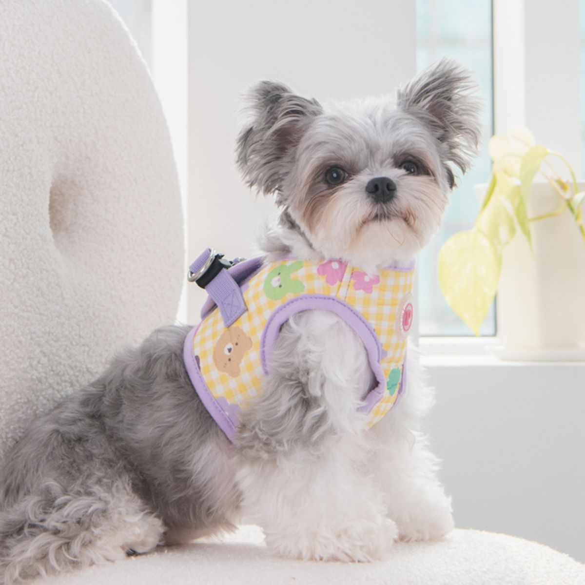 퍼피아(PUPPIA) 애나벨 조끼 하네스 B (NAXA-HB7750)