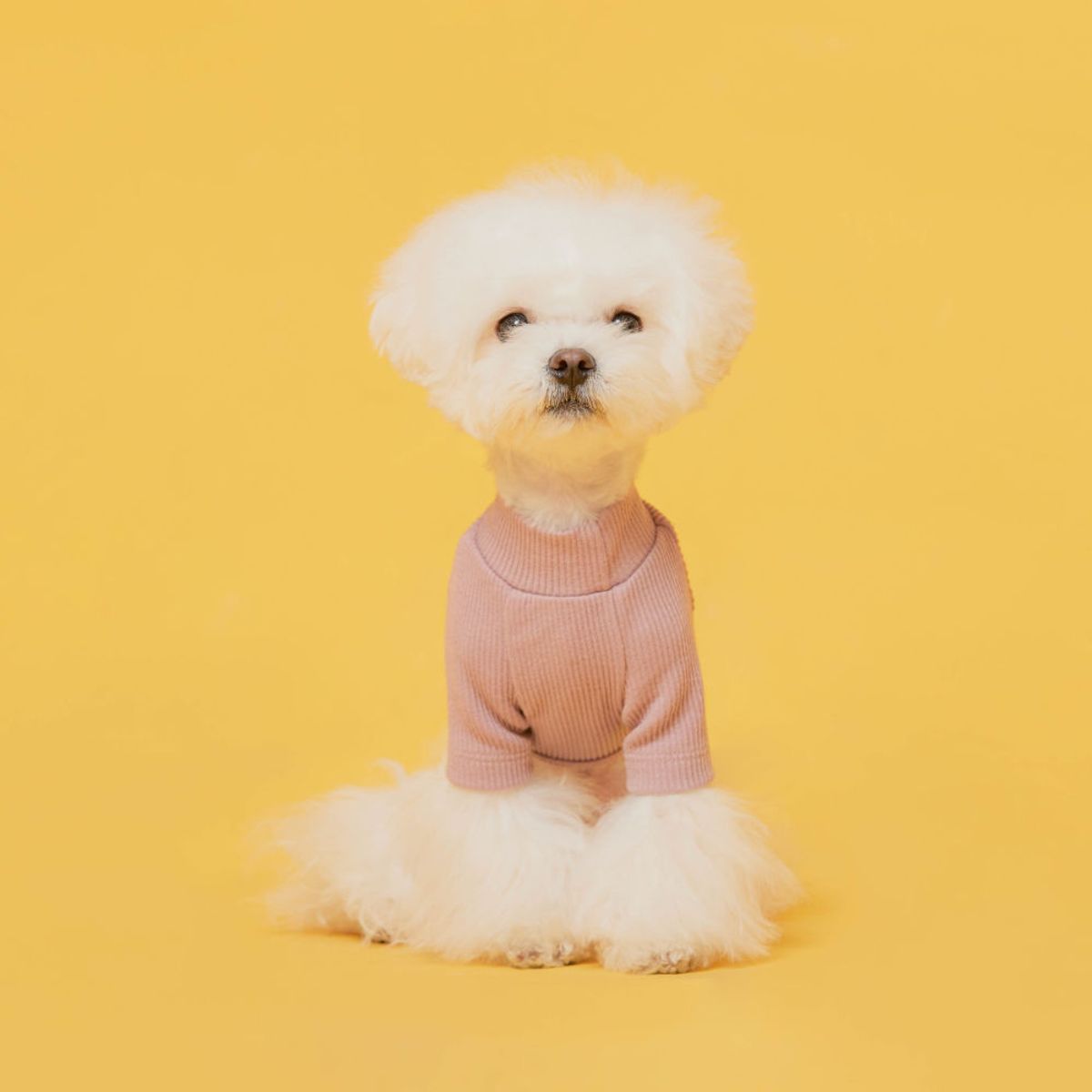 플로트(FLOT) 베이직 하프넥티셔츠 인디핑크 강아지옷