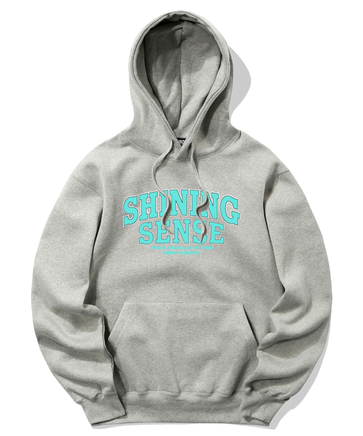 트립션(TRIPSHION) SHINING SENSE VARSITY LOGO 후드티 - 그레이