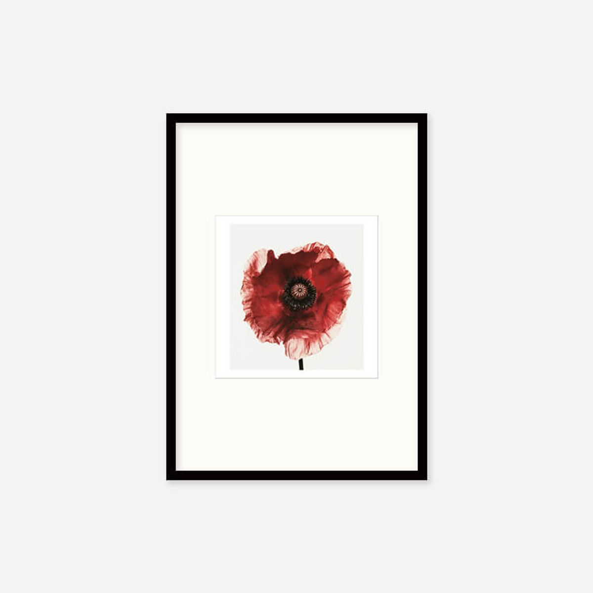 그릿시즌(GREET SEASON) 어빙 펜 Poppy : Burgundy, 1968 (액자 포함)