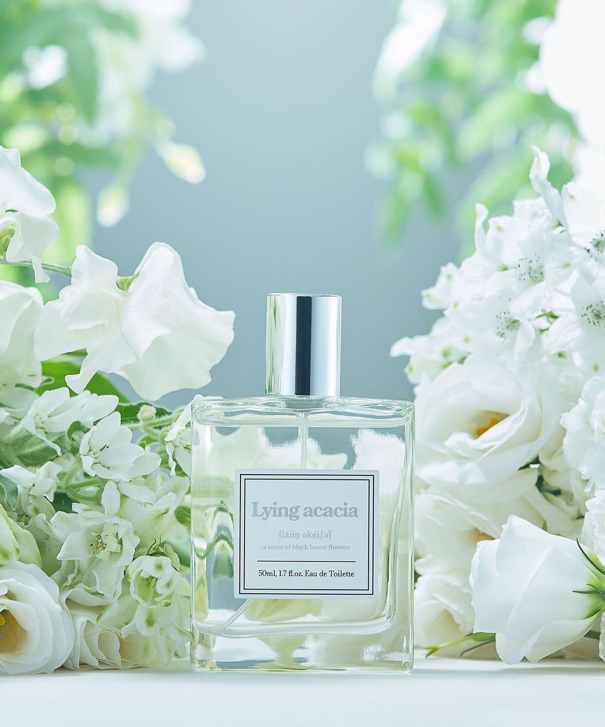 아로(AHRO) 라잉 아카시아 50ml