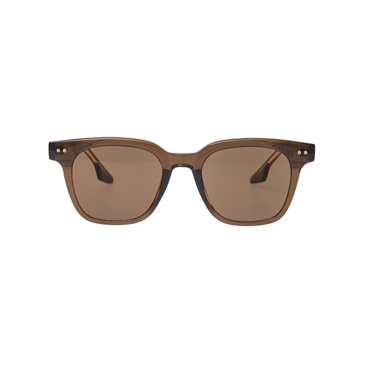 원브릴리언트(ONE BRILLIANT) Cody-OB355-Brown