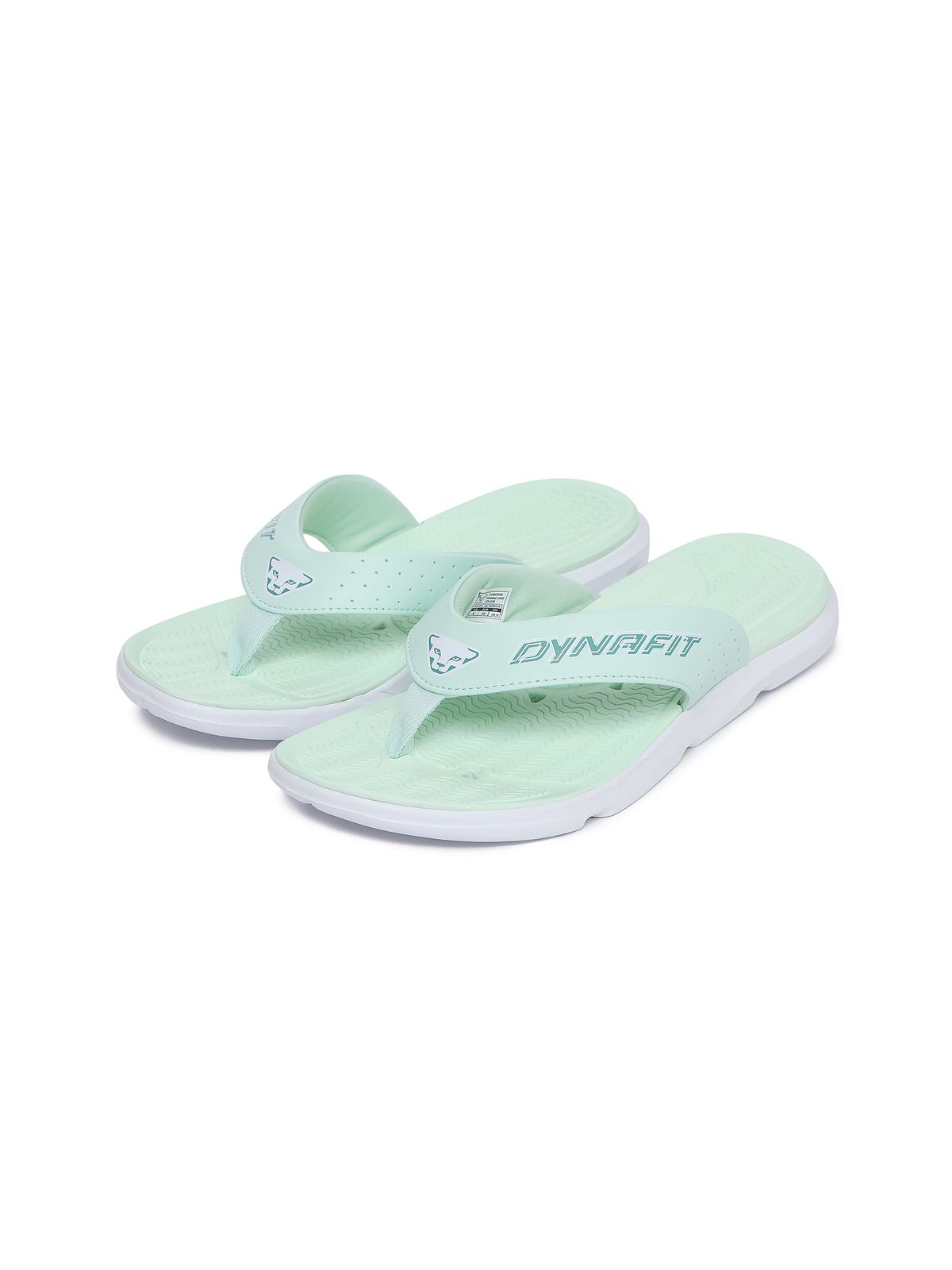 다이나핏(DYNAFIT) 패닝 코어_MINT