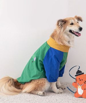 대형견 88윈드브레이커 - 그린