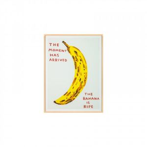 [데이비드 슈리글리] The moment has arrived