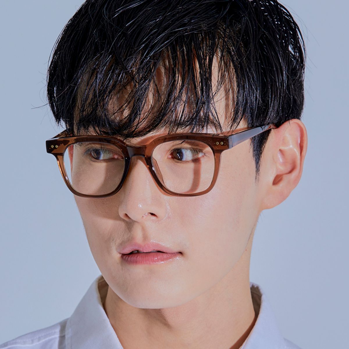 하이비션(HYBITION) Sion Brown