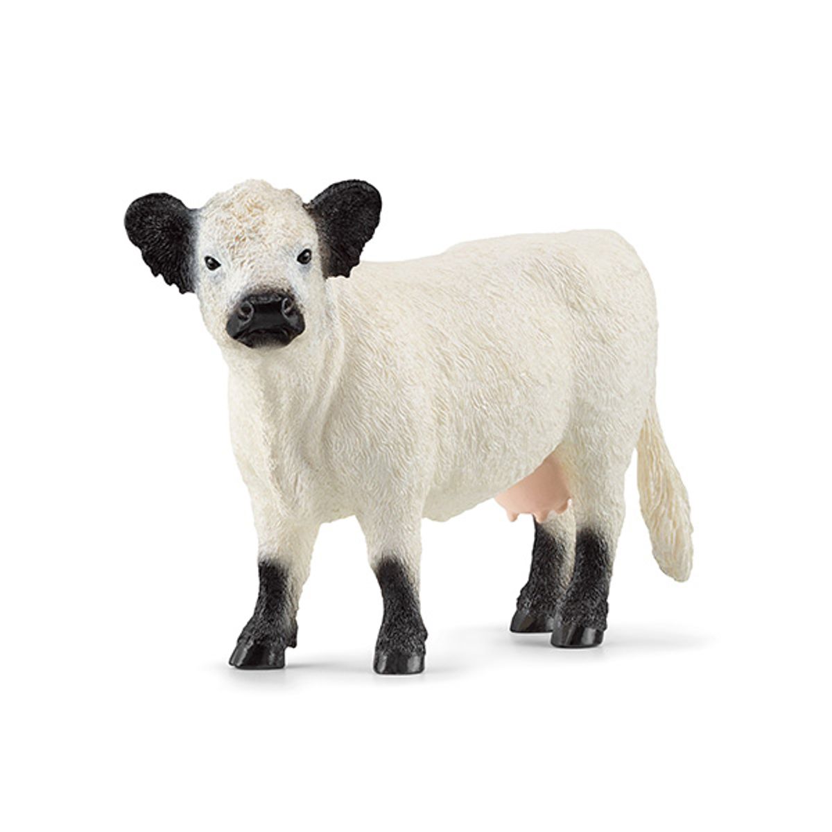 슐라이히(SCHLEICH) 갤러웨이 소