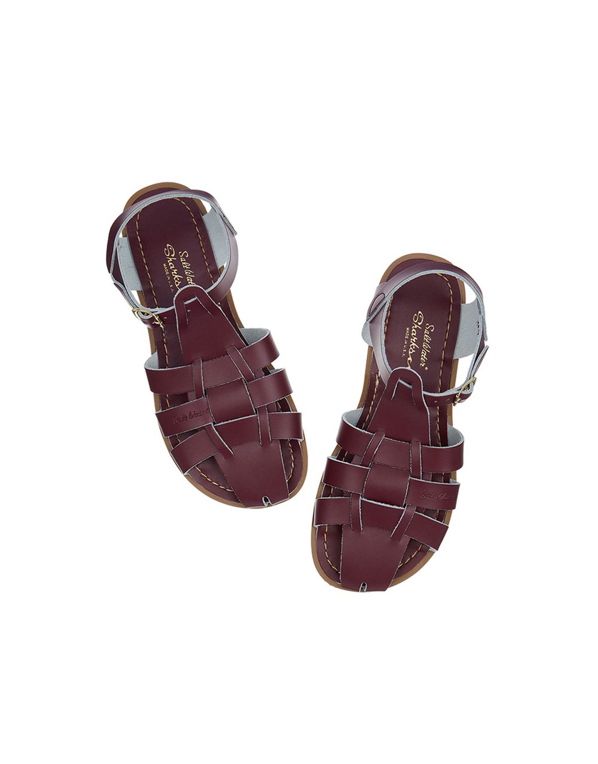 솔트워터(SALTWATER) ADULT SHARK CLARET
