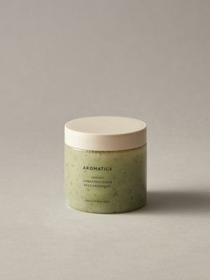 슈가 바디 스크럽 바질 & 버가못