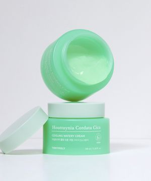 [대용량] 어성초시카 쿨링 수분 크림 100ml