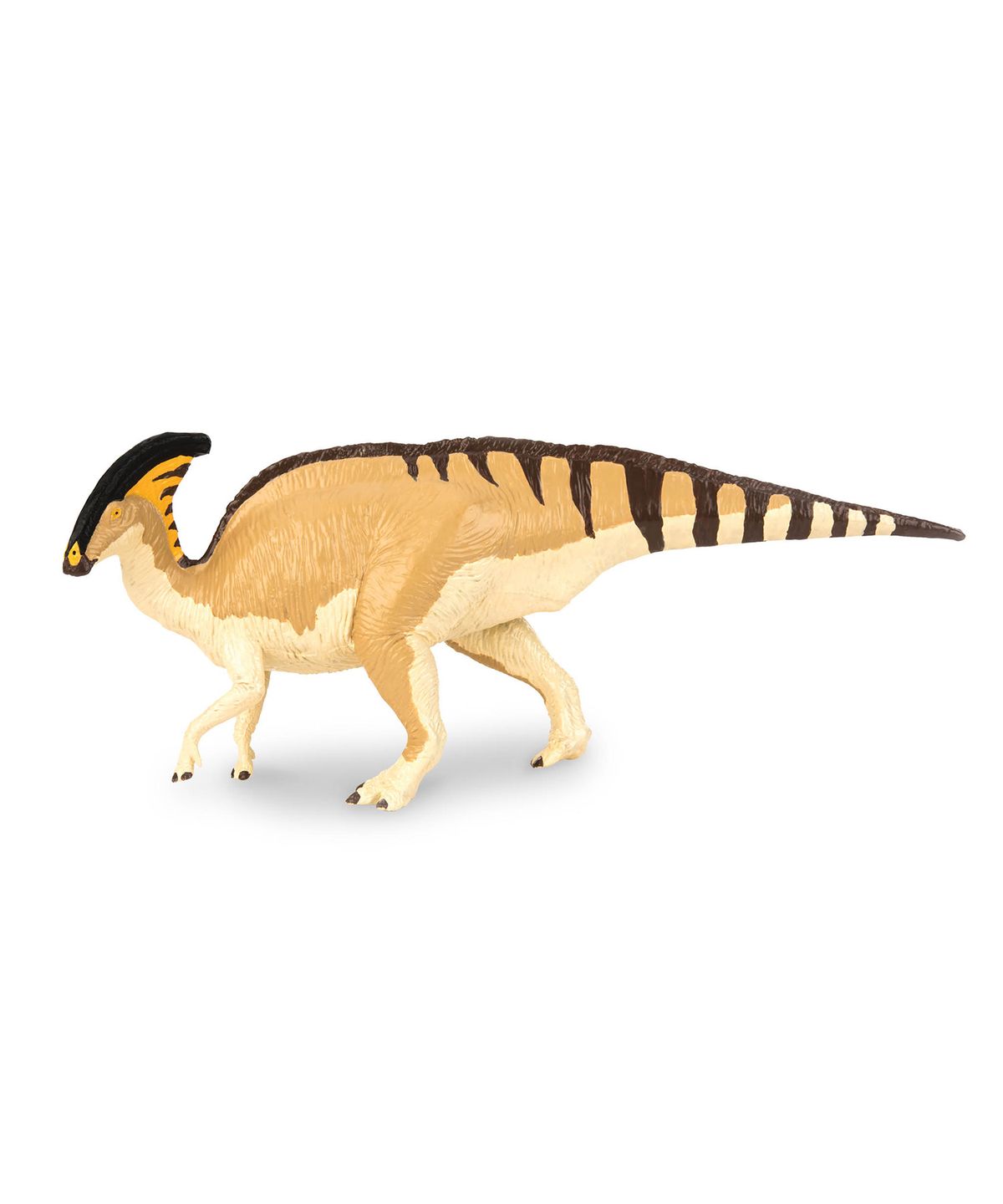 테라(TERRA) 파라사우롤로푸스웰켄