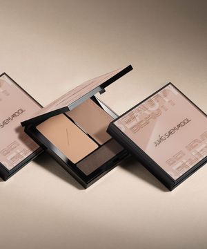 아티스트 페이스 팔레트 컨투어