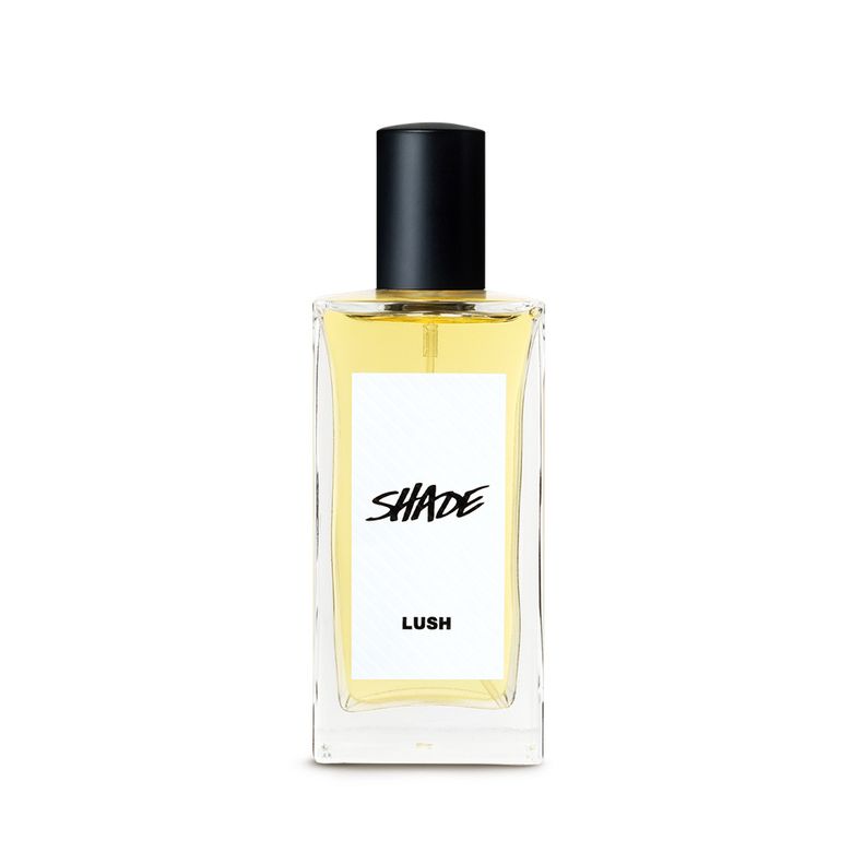 쉐이드 100ml - 퍼퓸/향수