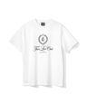 3372491