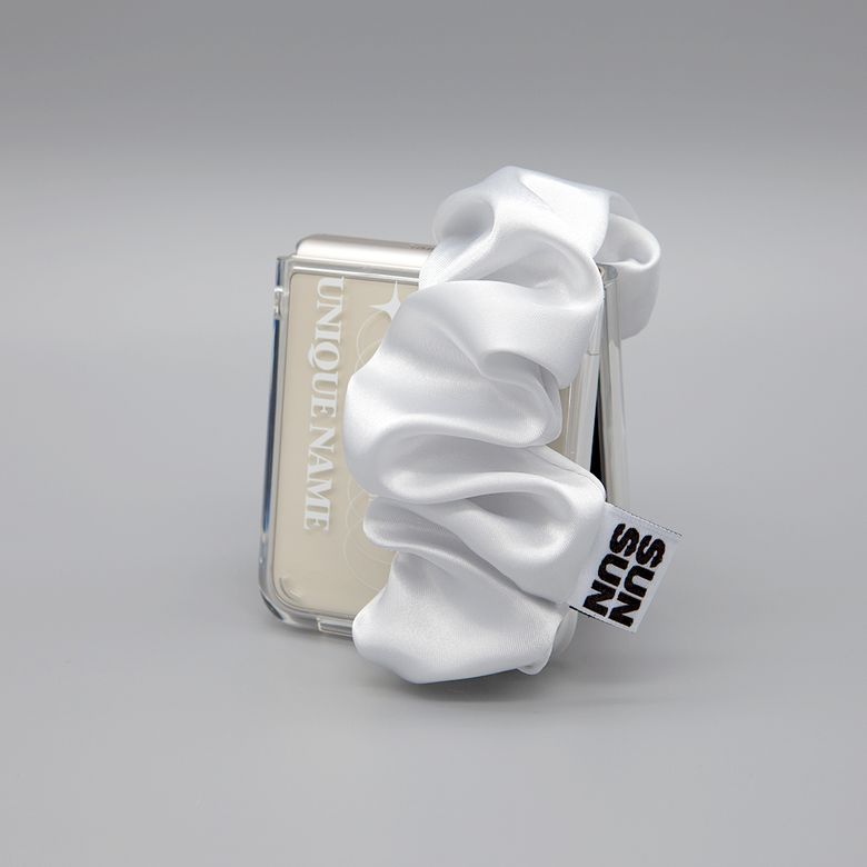 SUN CASE GOBULL BAND SILVER (Z FLIP)