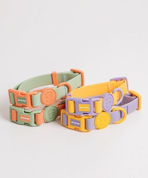 new 마카롱 방수 목줄 (4 color)
