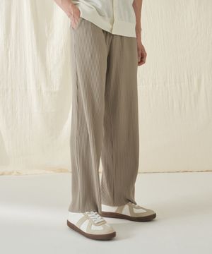 플리츠 세미와이드 팬츠_ZD2PT161_BEG