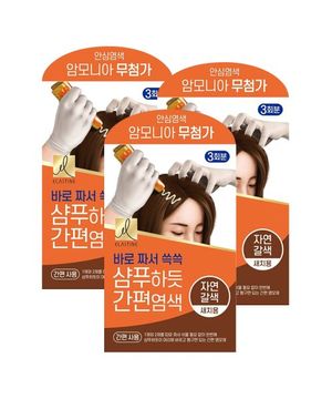 샴푸하듯 간편염색 60g 자연갈색 x 3개