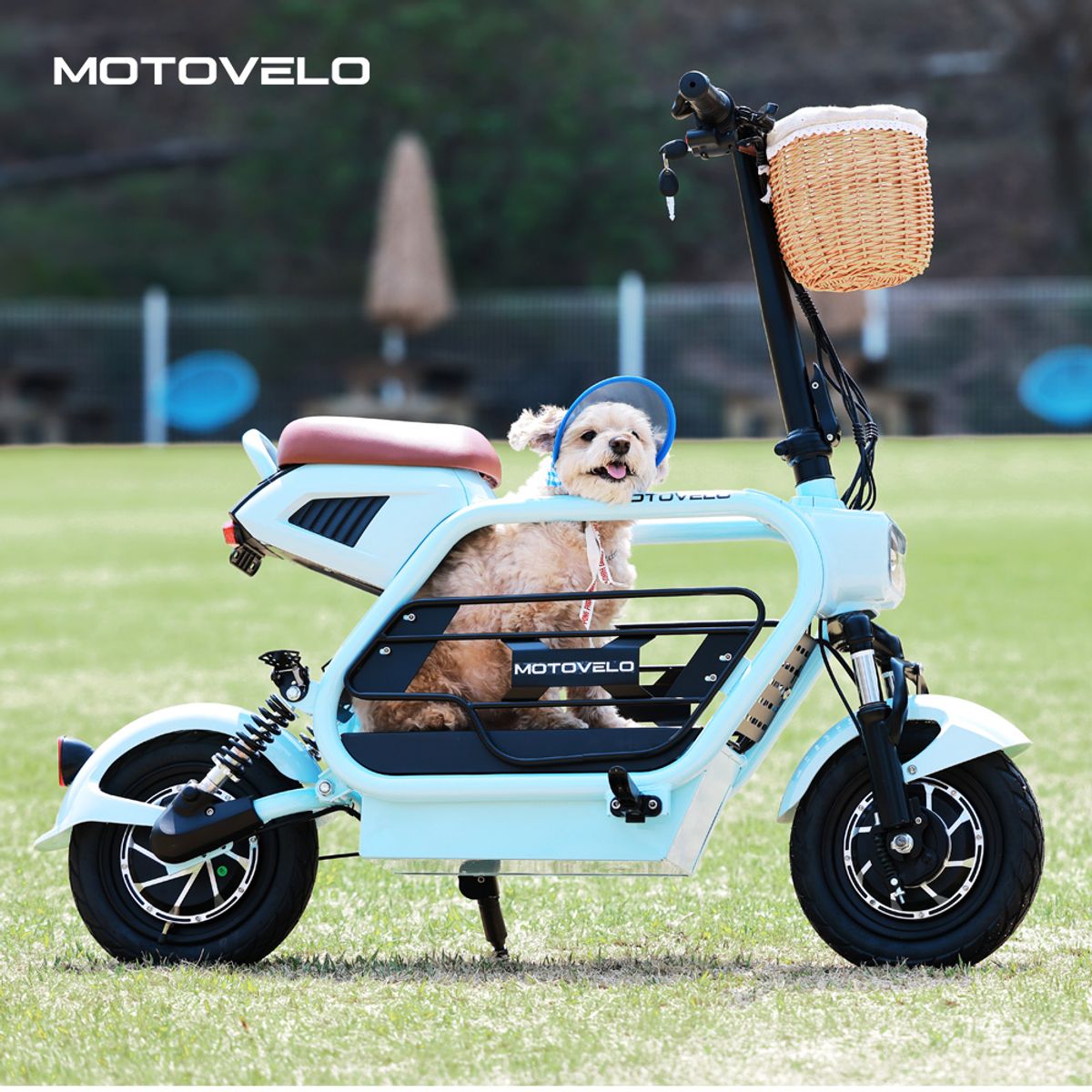 모토벨로(MOTOVELO) AKU2 PET 펫 500W 20Ah  댕쿠터 듀얼 전기/전동스쿠터