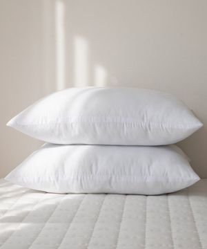 더 베이직 훼다 베개솜(50X70)