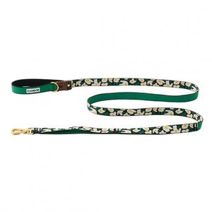 젠틀 리쉬 볼트_빅피쉬