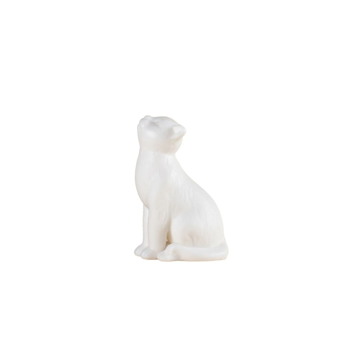 브라운즈(BROWNZE) 고양이 차총