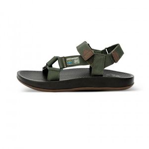 클라우드9 스포츠 OILVE