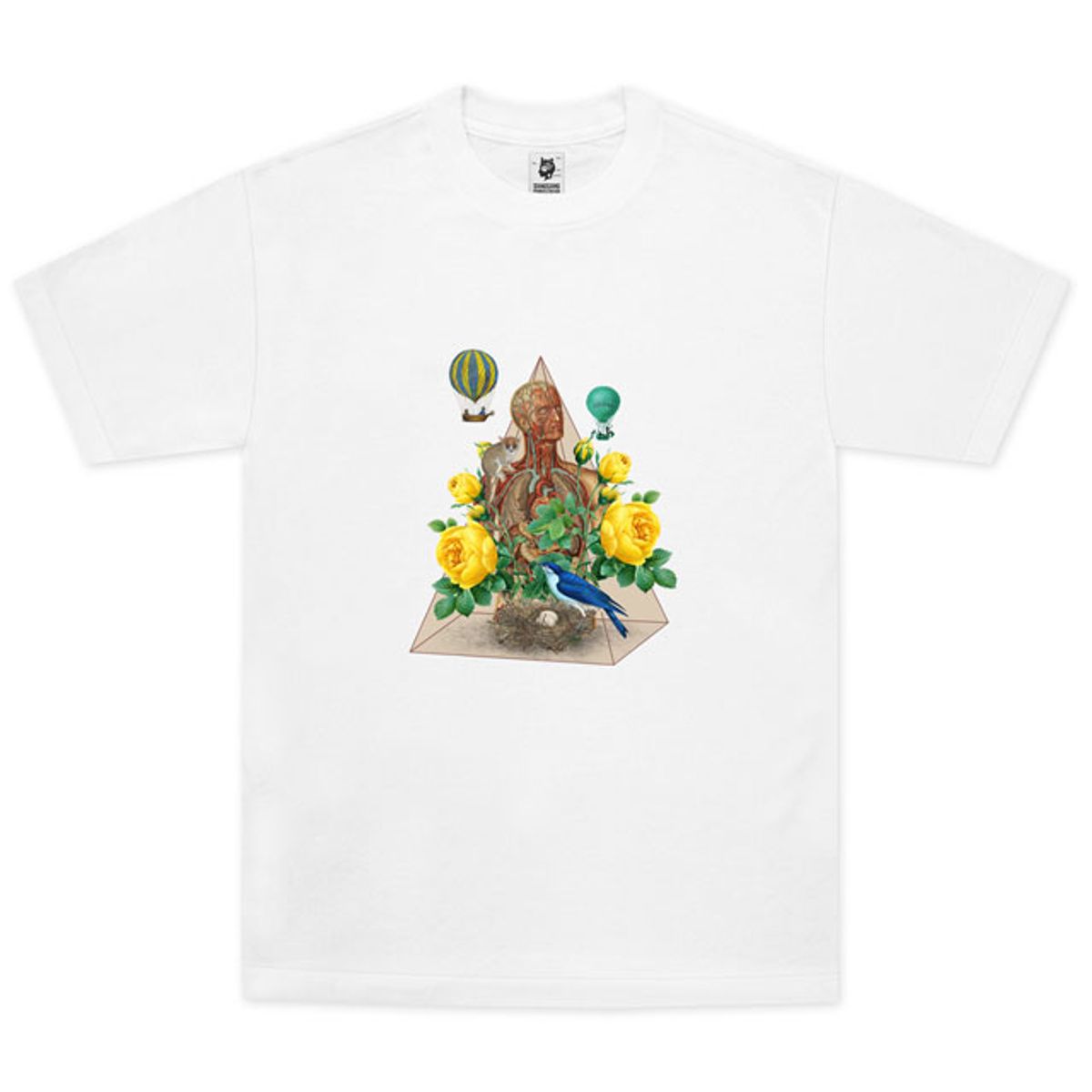 상상발전소(SANGSANG POWER STATION) ANATOMY FLOWERS 01_WHCT