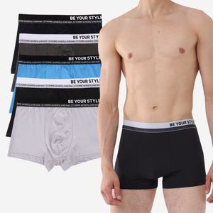 유니크 에디션 드로즈 5매 패키지